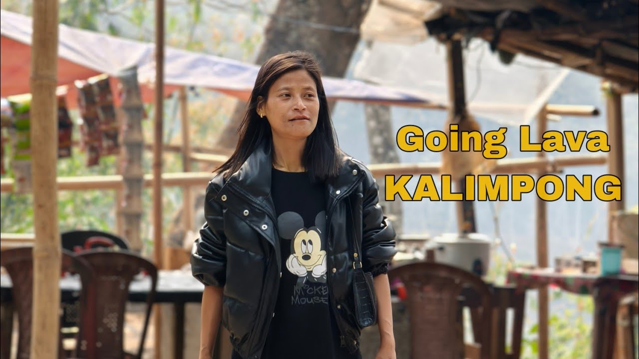 Priya's First Vlog Alone / Kakarvitta to Kalimpong / Nepal to India Alone / Priyasheetalvlog