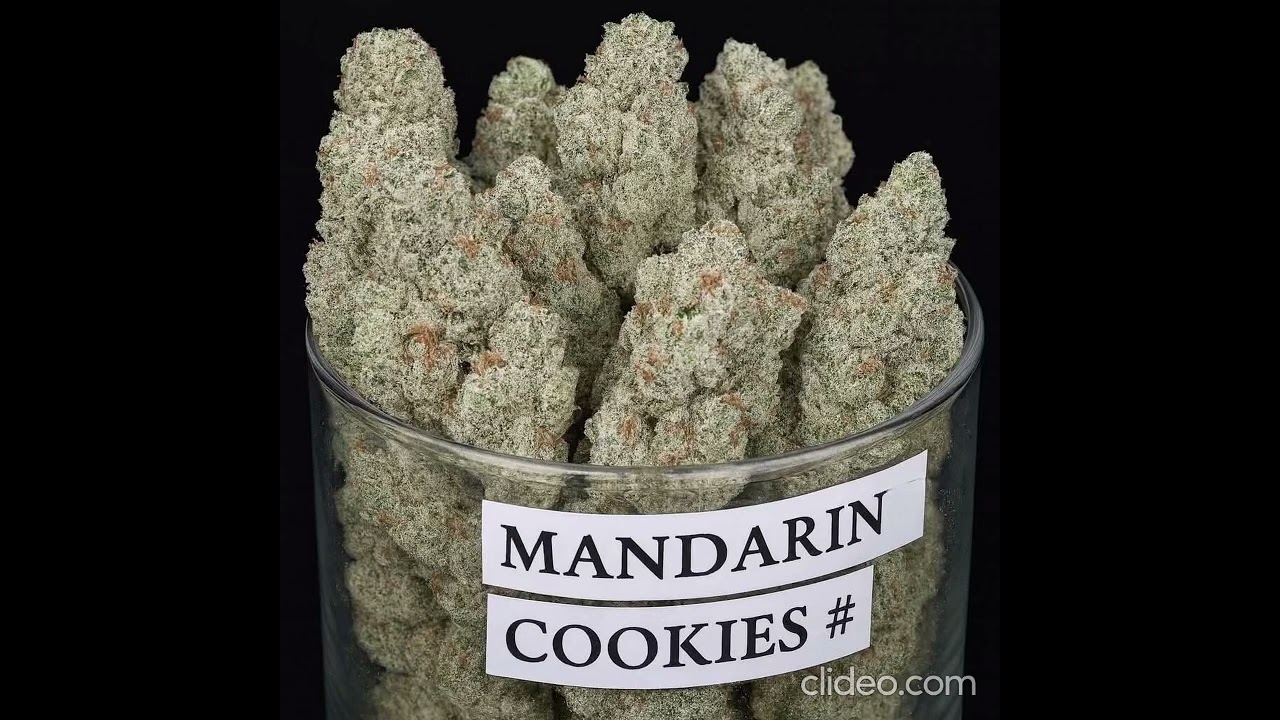 One of our Flagship strains. Forum Cut Cookies x Mandarin Sunset  #strainreviews  #420