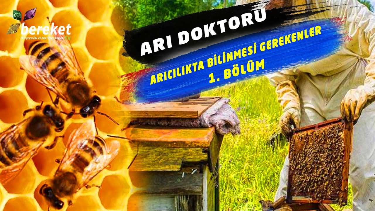 Arı Doktoru -  1. Bölüm / Arıcılıkta Bilinmesi Gerekenler -  ARI SAĞLIĞI - ANA ARI - ARILIK