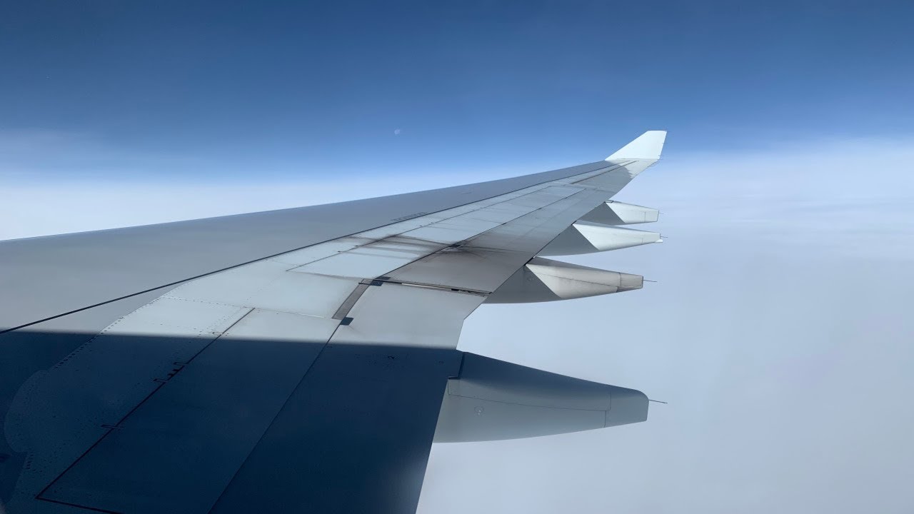 American Airlines | Full Flight | Charlotte to Orlando | Airbus A330