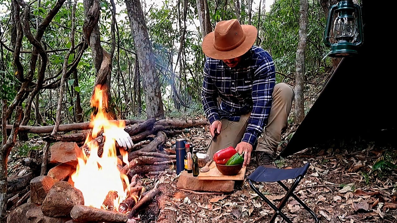 Voltei na mata da onça parda e fiz um pernoite Solo com tarp | Culinária Mateira.