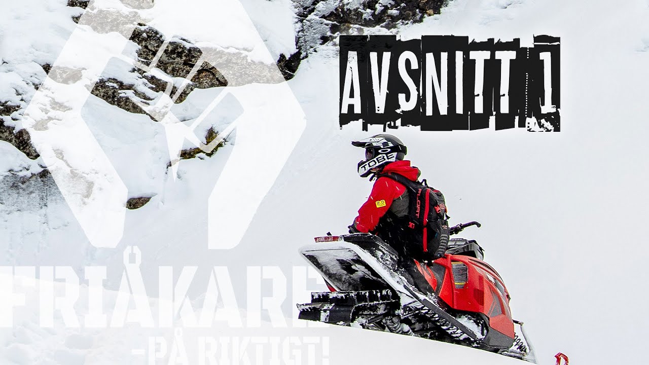 Avsnitt 1 - Inledning