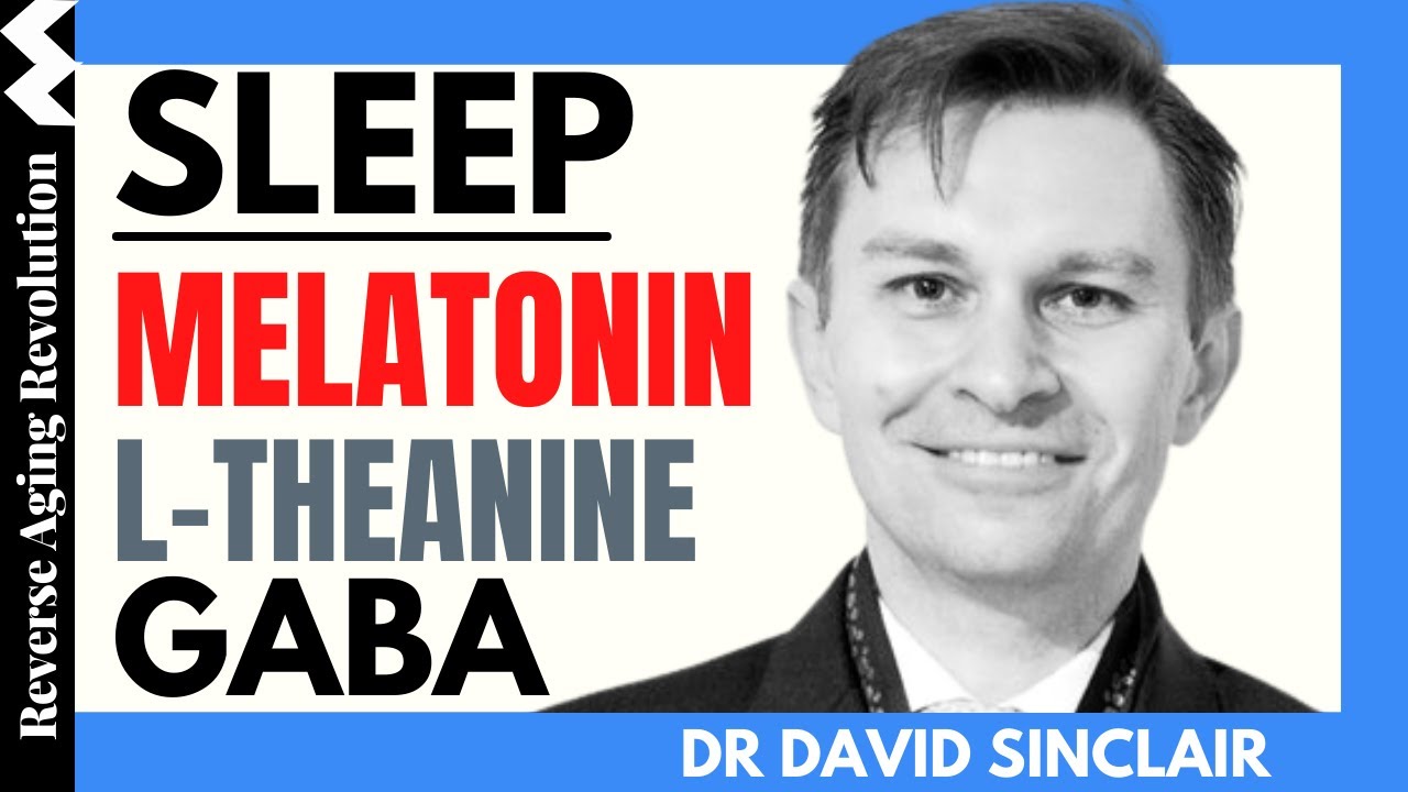 Melatonin, GABA, L-Theanine | Dr David Sinclair Interview Clips