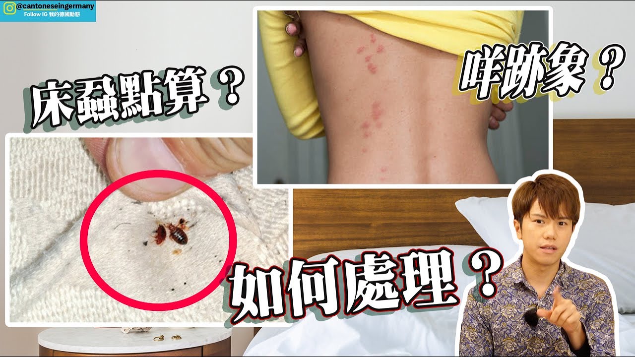 德國家🇩🇪遇到床蝨點算？如何發現跡象和處理方法【Chevis講德國EP3 】