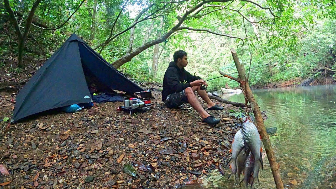 24 jam sendiri di hutan kalimantan mancing dan panen ikan