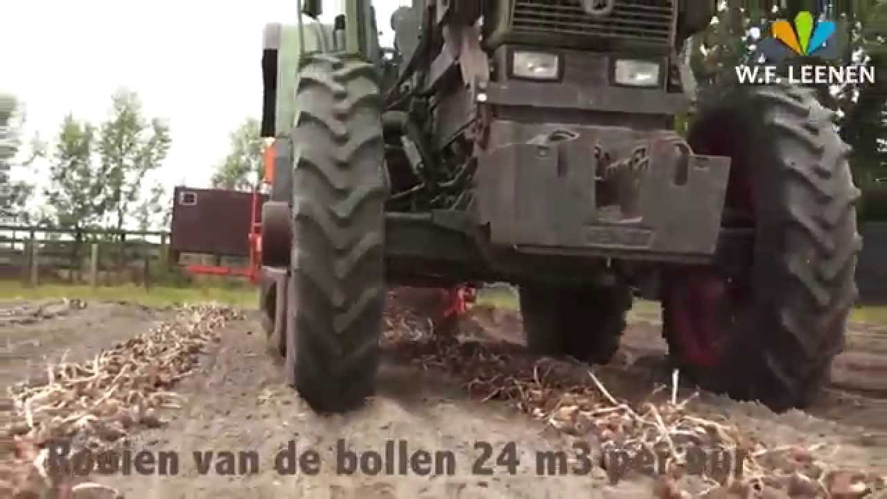 WF LEENEN Rooien bollen,productie en export
