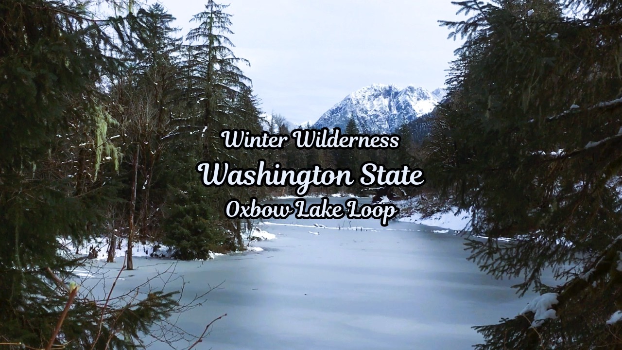 Winter Wilderness | Washington State | Oxbow Lake Loop | Snoqualmie River