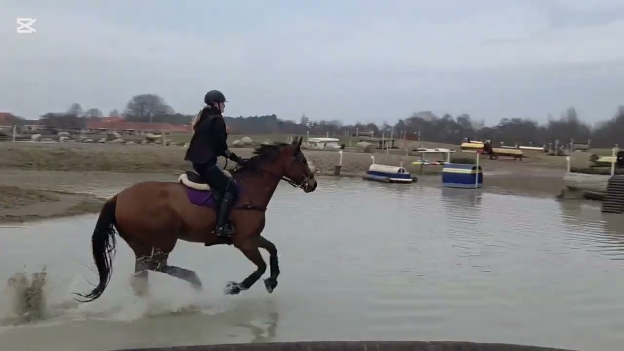Annika Horse Eventing Music Video Landsholdssamling med Military landsholdet