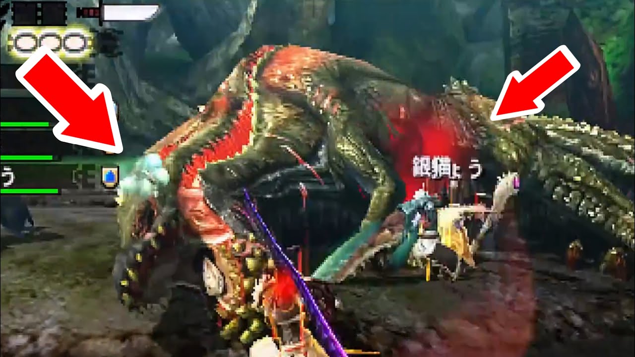 【MH4G】イビル ジョーさん、戦闘を放棄し眠る 【2021/1/1】