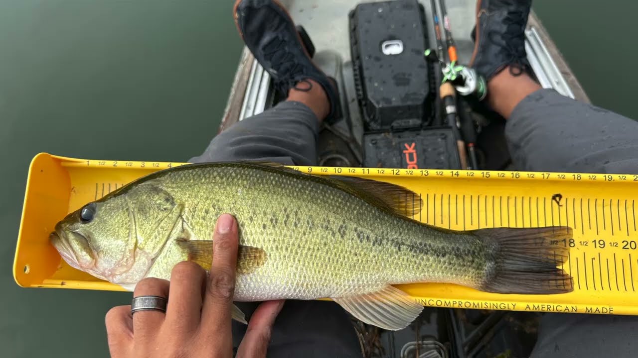 Bonafide RVR119 Review: Most Underrated Kayak? (100” of Bass in 1 Day!) | TugYank Reel Kayak Reviews