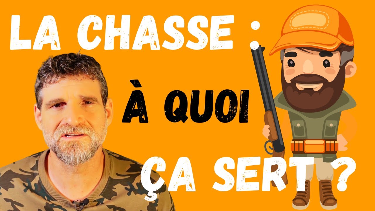 La chasse : à quoi ça sert ?