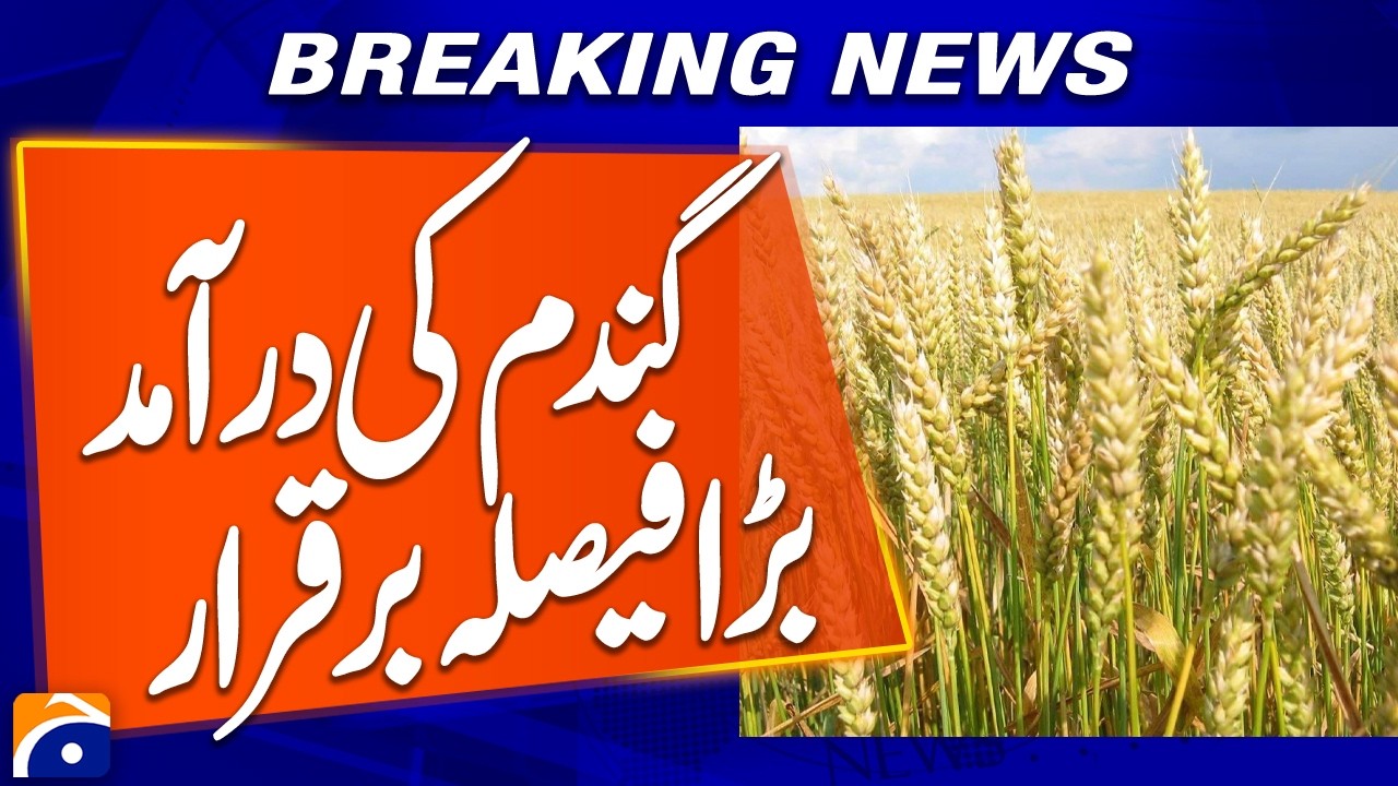 Major Decision on Wheat Imports Remains in Effect | Breaking News | Geo News