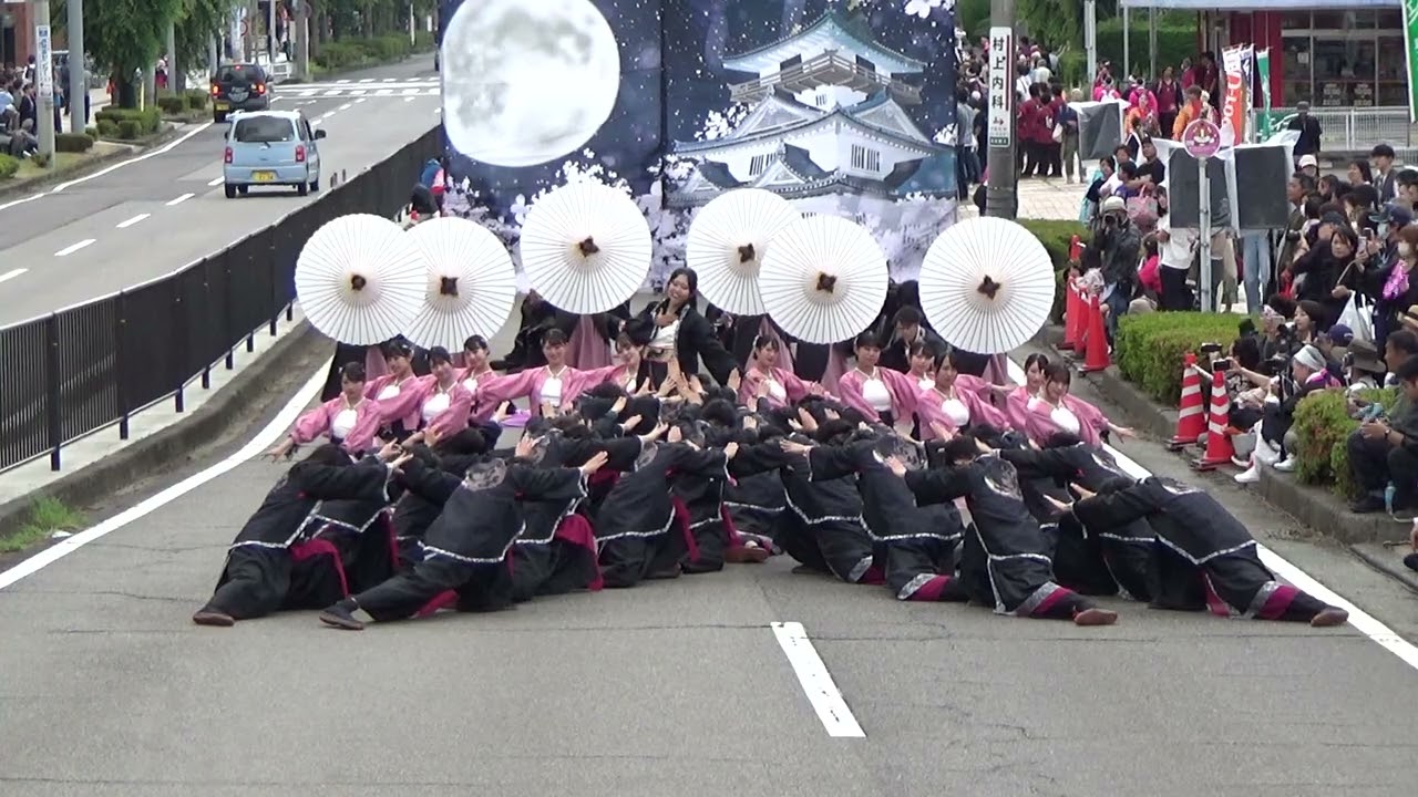 常笑 　2024　犬山踊芸祭　新曲初披露「桜夜月」パレード会場　6月2日　2日目　パレード審査23番目　第２０回犬山踊芸祭