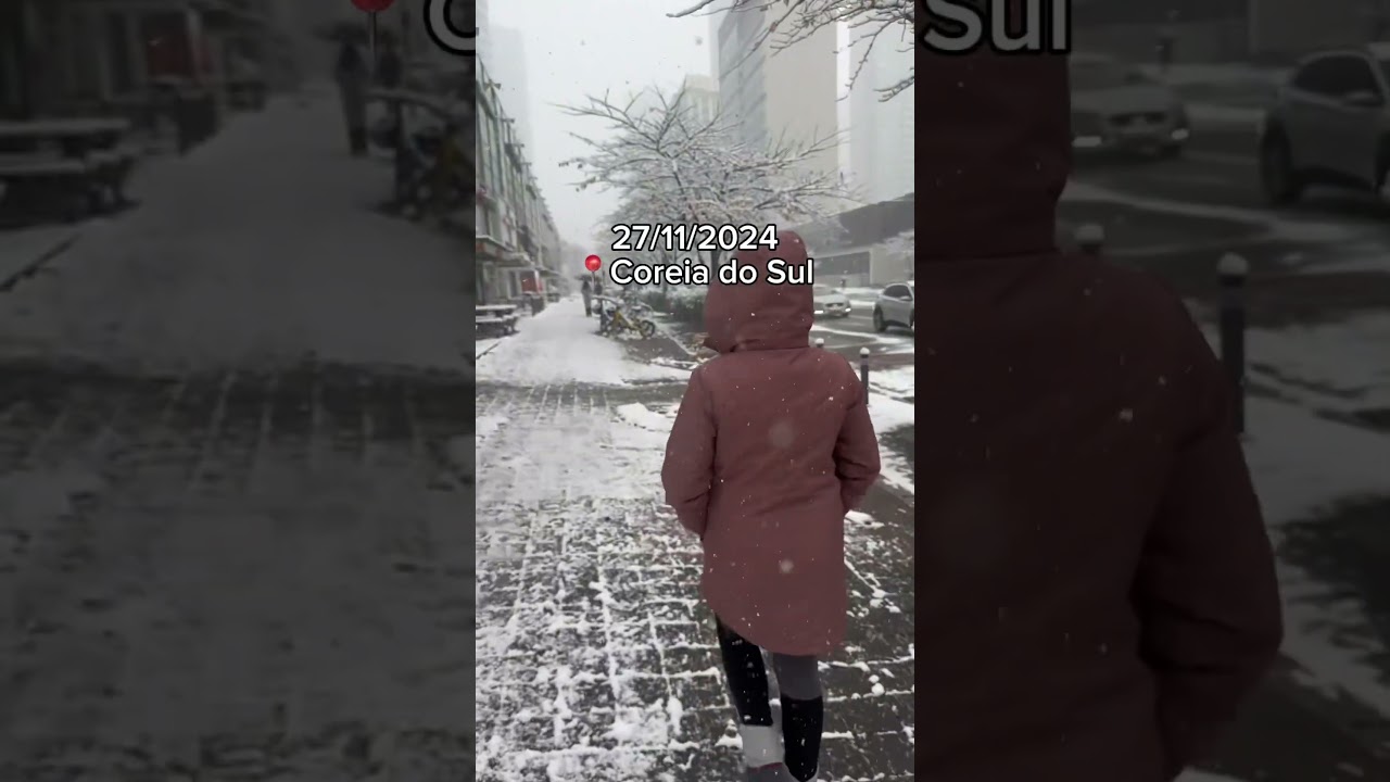 A maior nevasca em 107 anos na Coreia! #neve #coreiadosul #dicasdeviagem