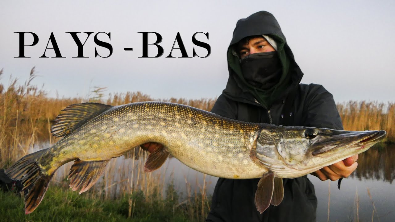 Retour sur les polders ! - Pays Bas &Eacute;pisode 2 - Fish&Relax