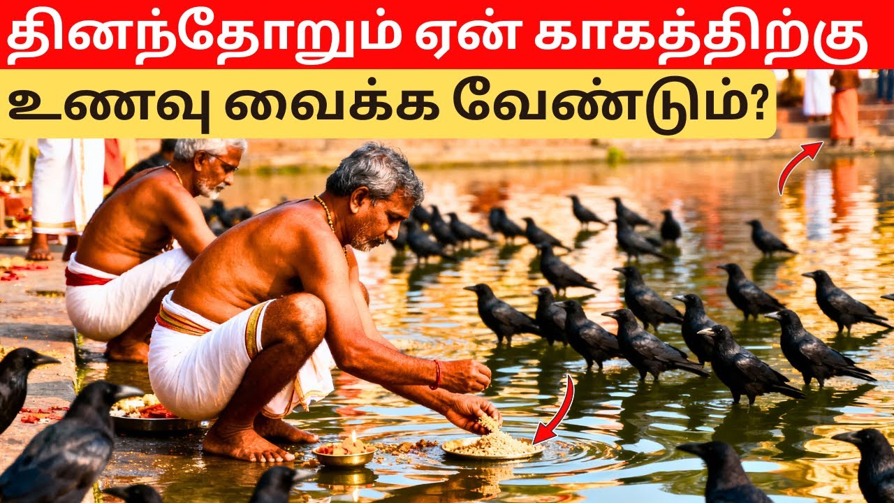 நாம் ஏன் ஒவ்வொரு நாளும் காகங்களுக்கு உணவளிக்க வேண்டும்? | Bakthi Kathai