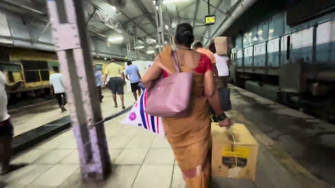 Local Safar Diaries: Mumbai's Commuting Adventure Unveiled