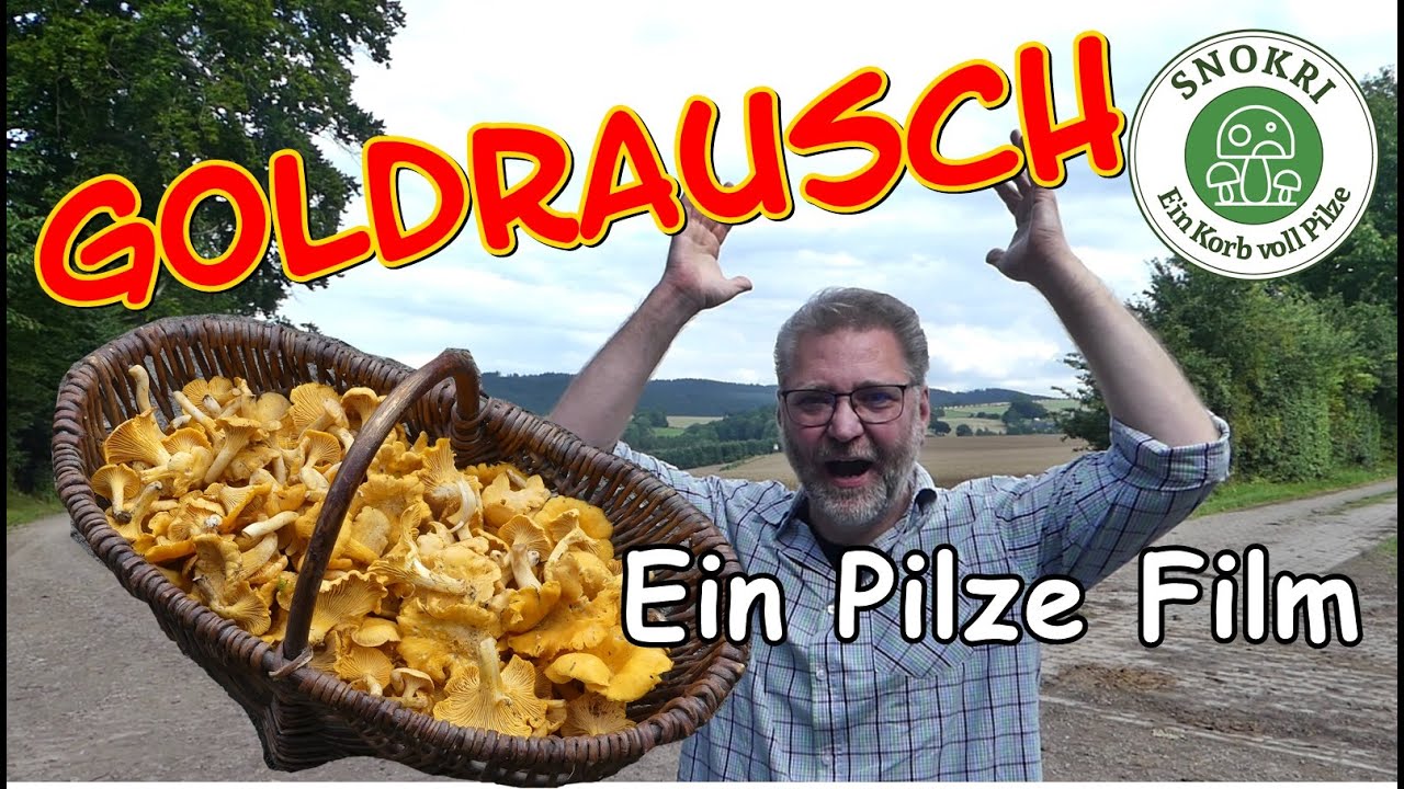Goldrausch  - Ein Pilze Film  - Tolle Funde im Erzgebirge