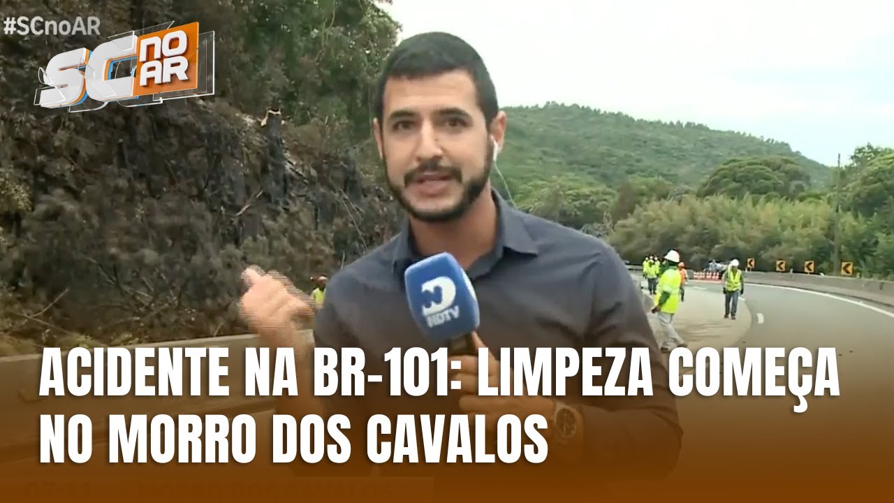 Após incêndio, começa a retirada da vegetação queimada na BR-101