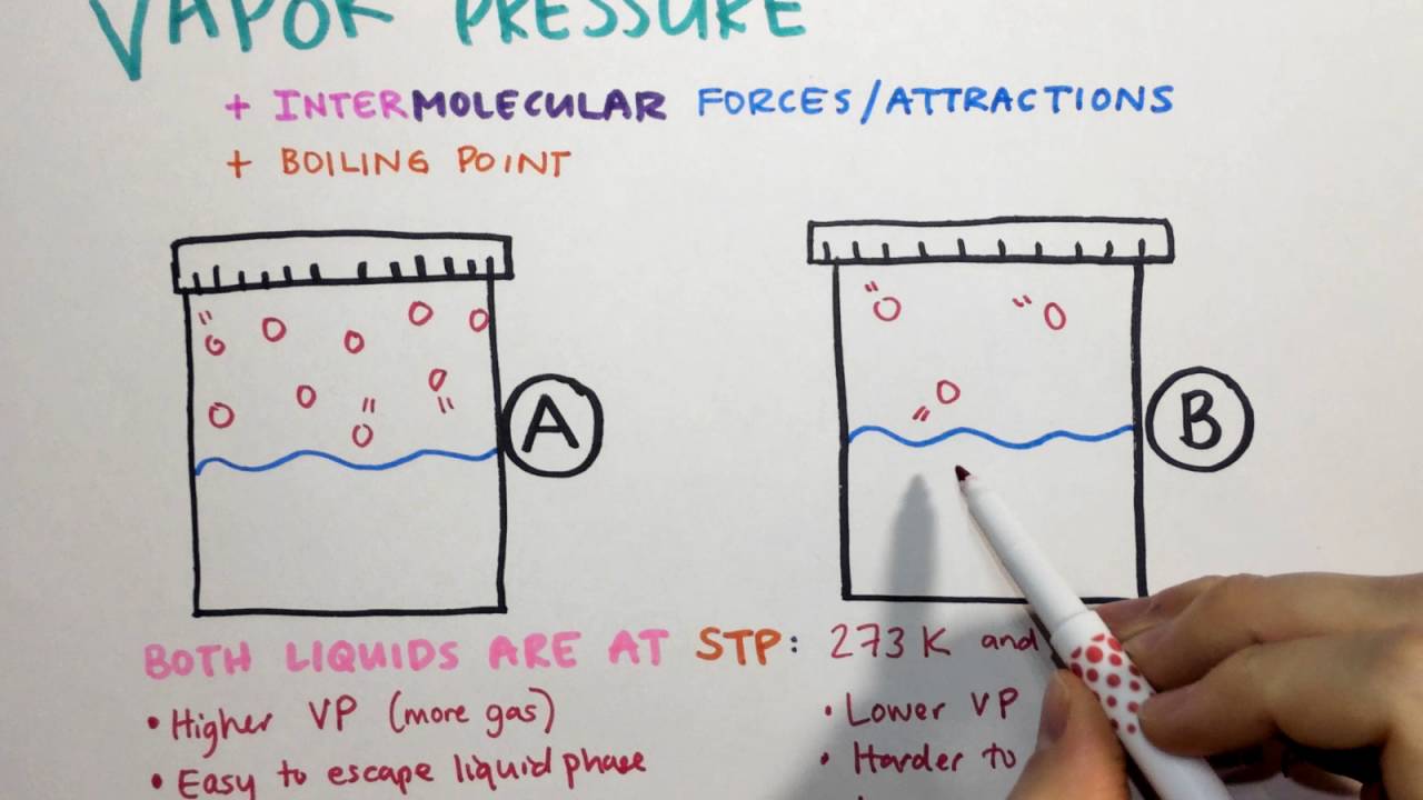 2.3 Vapor Pressure, IMFs, and Boiling Point