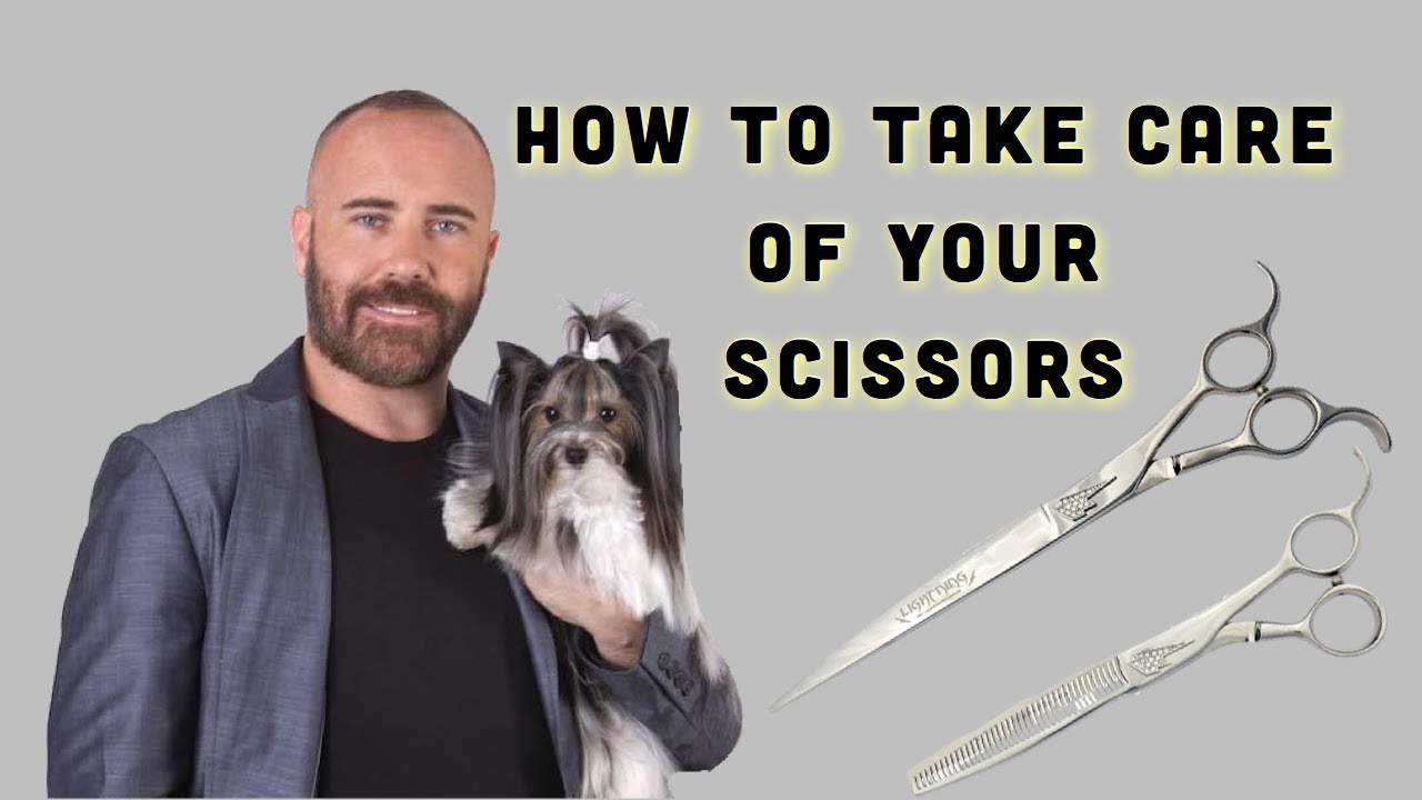 HOW TO TAKE CARE OF YOUR SCISSORS by JONATHAN DAVID