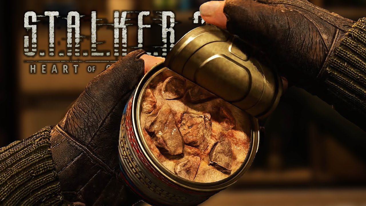 Stalker 2 - All Food/Drinks/Healing Animations | 4K
