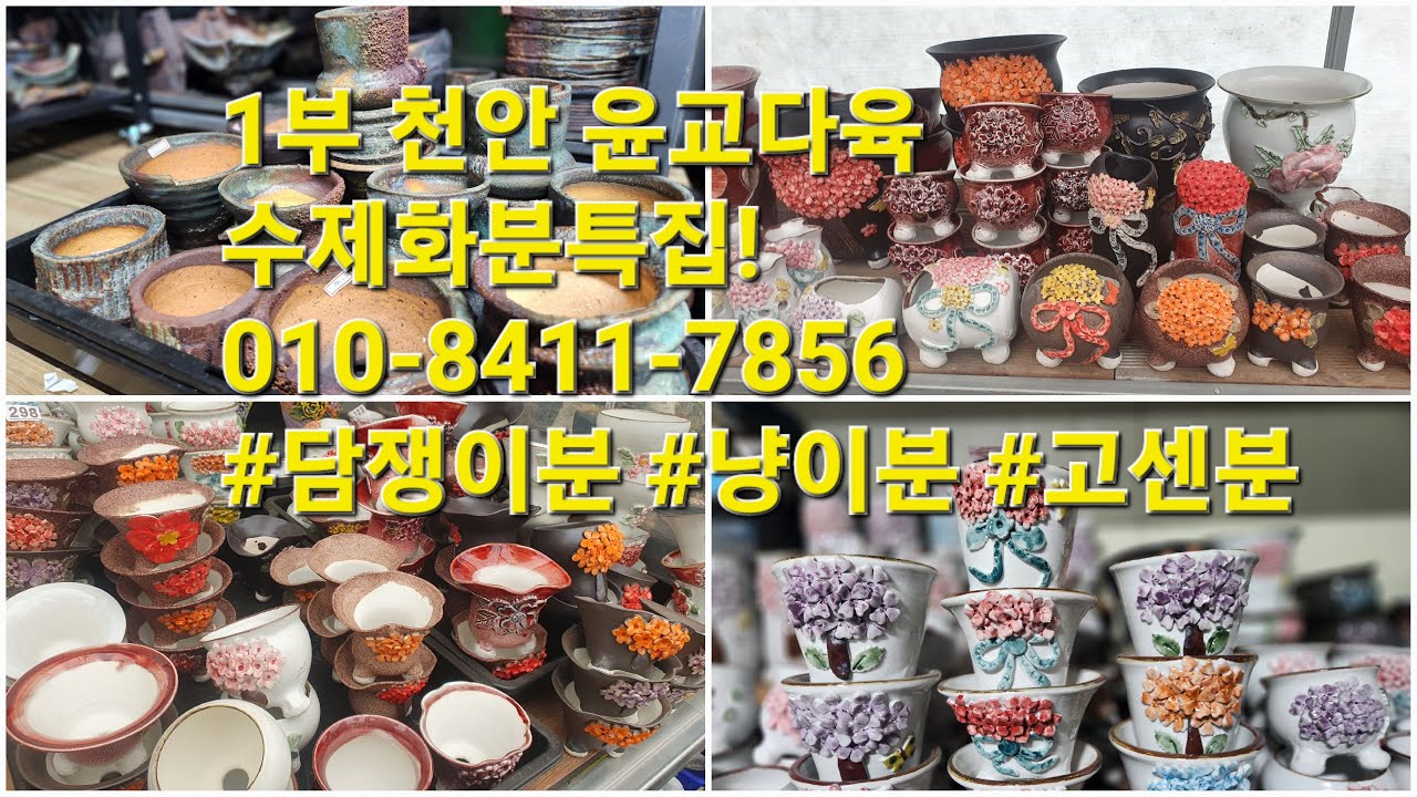 1부 천안 윤교다육1주년기념! 수제화분특집!010-8411-7856 #담쟁이분 #냥이분 #고센분