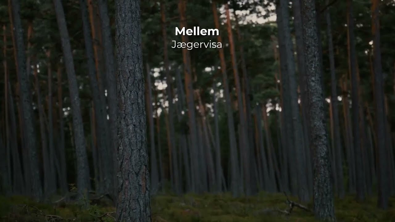 Mellem - J&aelig;gervisa