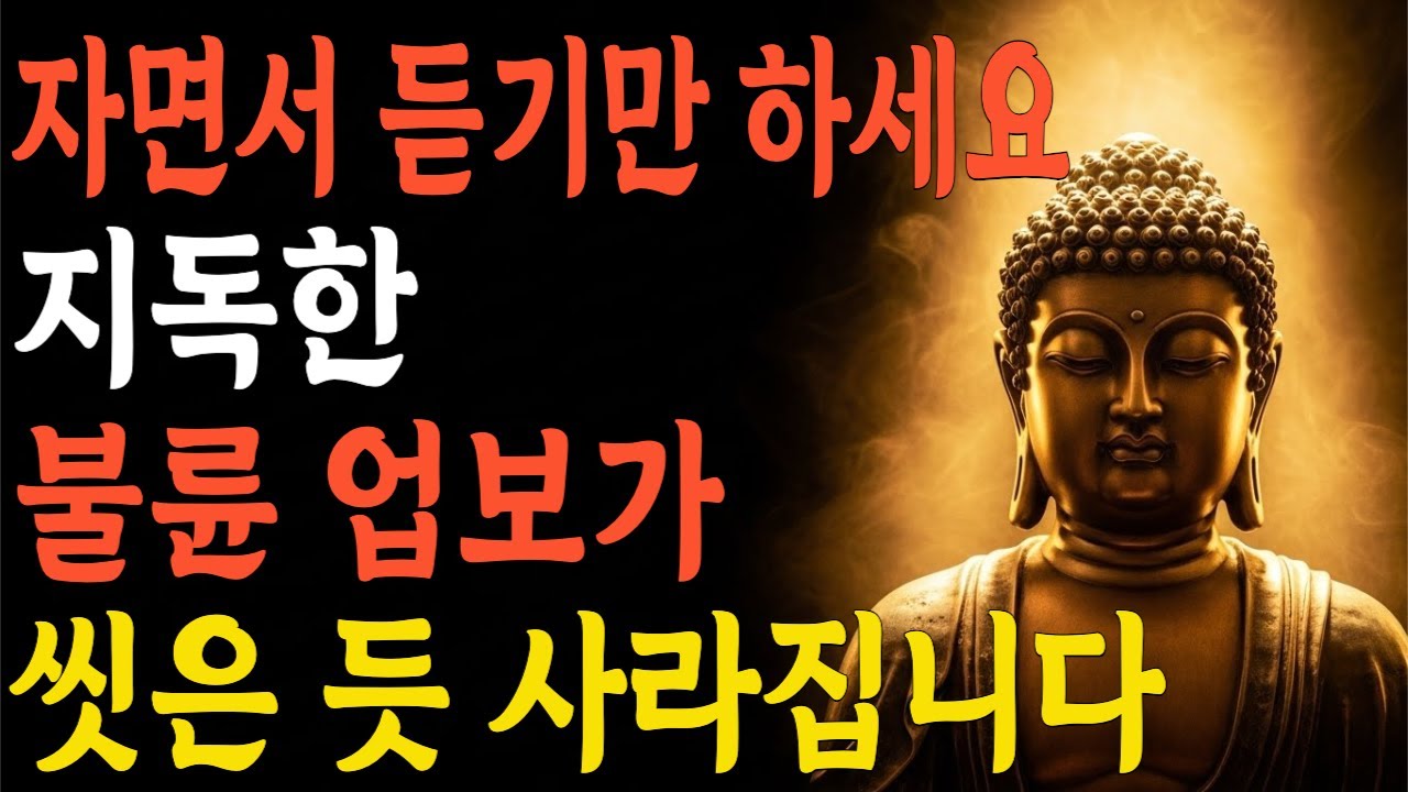 틀어놓고 자기만 해도 '전생의 빚'이 갚아집니다. 질긴 불륜 인연 끊어내는 관세음보살 수면 법문