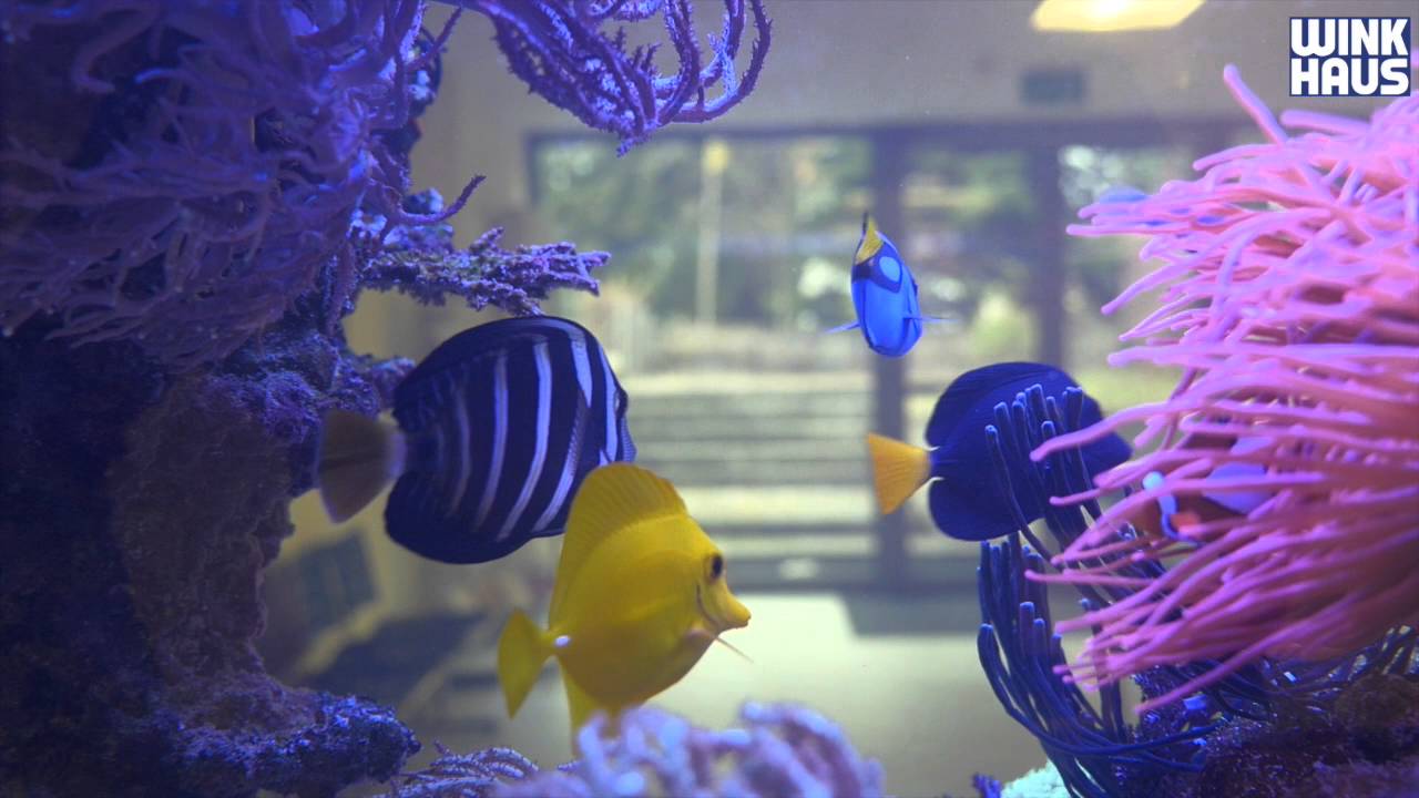 blueSmart sichert RoMed Kliniken Rosenheim