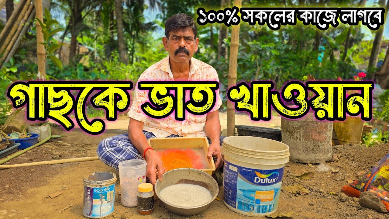 ভাত খাওয়ান সব ধরনের গাছকে ম্যাজিকের মতো কাজ করবে