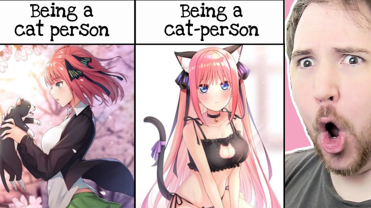 OFFBRAND ANIME MEMES (The Difference in Cat Girls Edition)