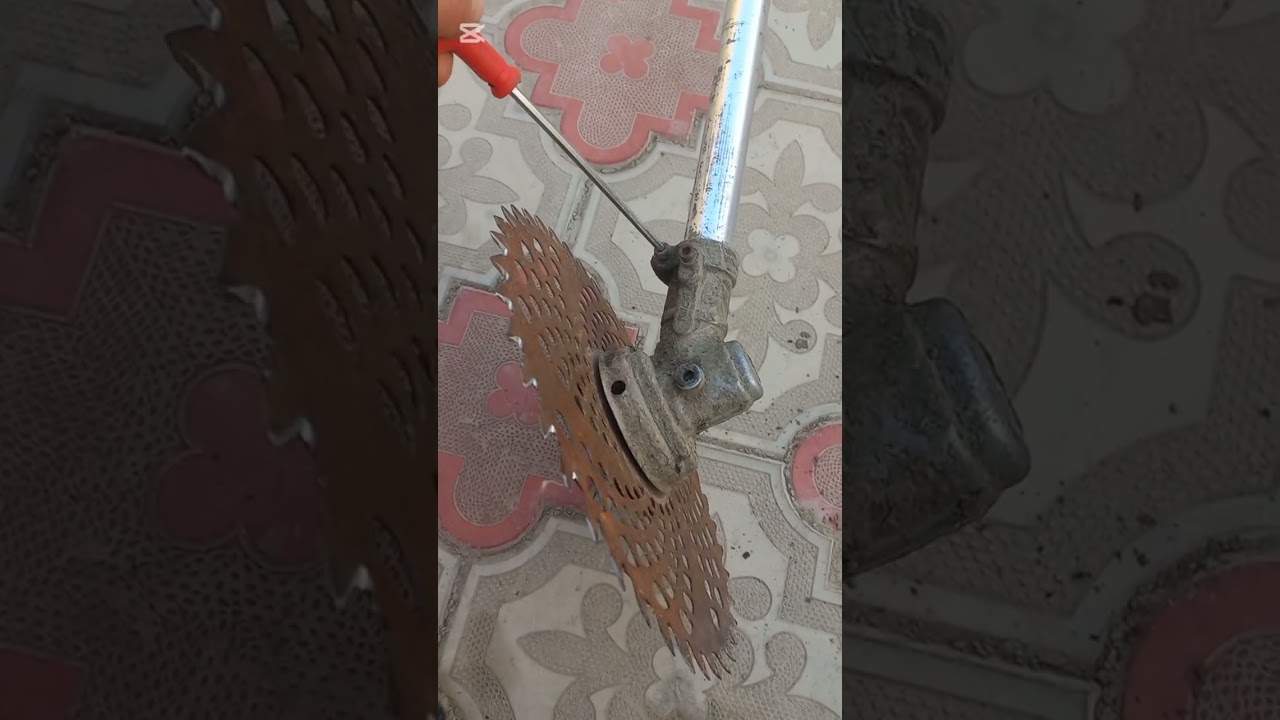 БЕДА УРИШ КАСИЛКАСИГА ЯНГИЛИК КИРИТДИК