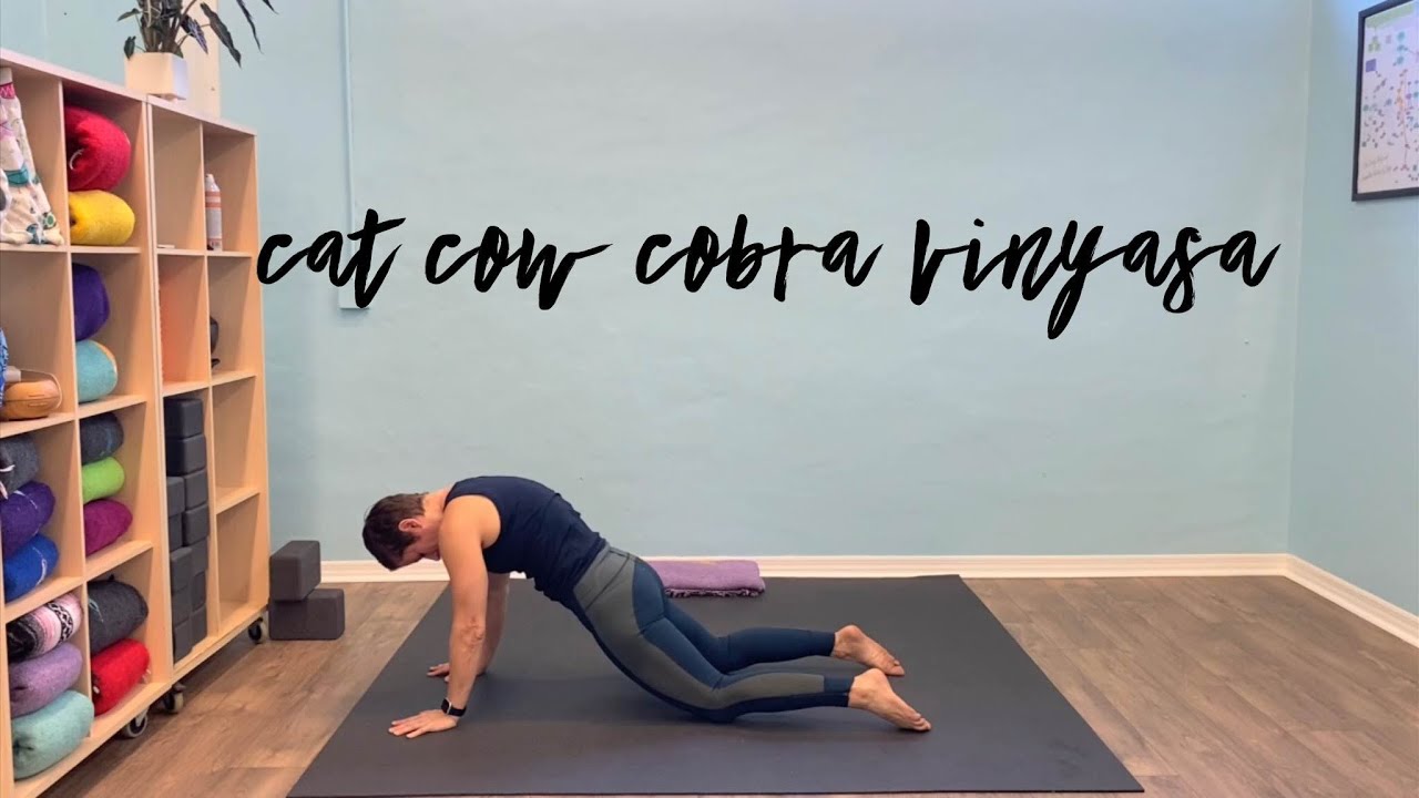 Cat/Cow/Cobra Vinyasa