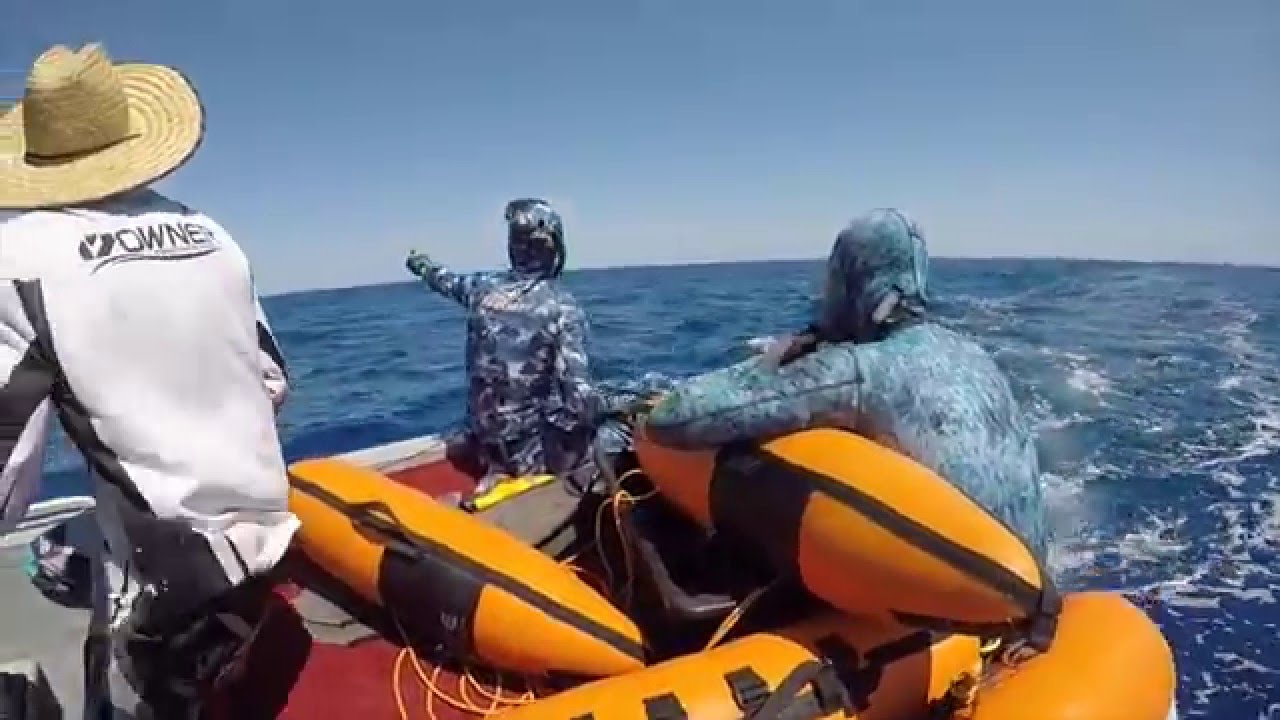 SUBMERGED Spearfishing - SPEARFISHING WEST OZ