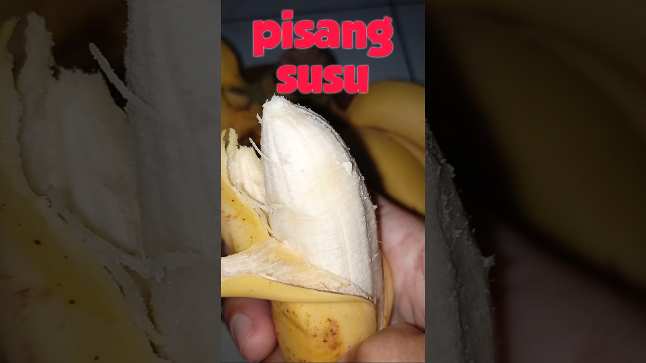 pisang susu yang kenyal #explore #buahnya #shortvideo #shorts #videoshort #pisangsusu