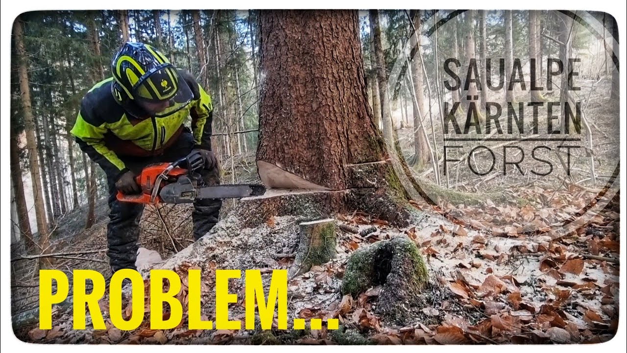🌲Die Problembäume machen wieder Probleme 1/2 🪵🪓