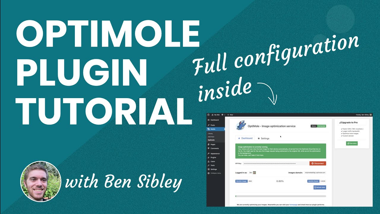 How to Use the OptiMole Plugin to Speed Up Your WordPress Site