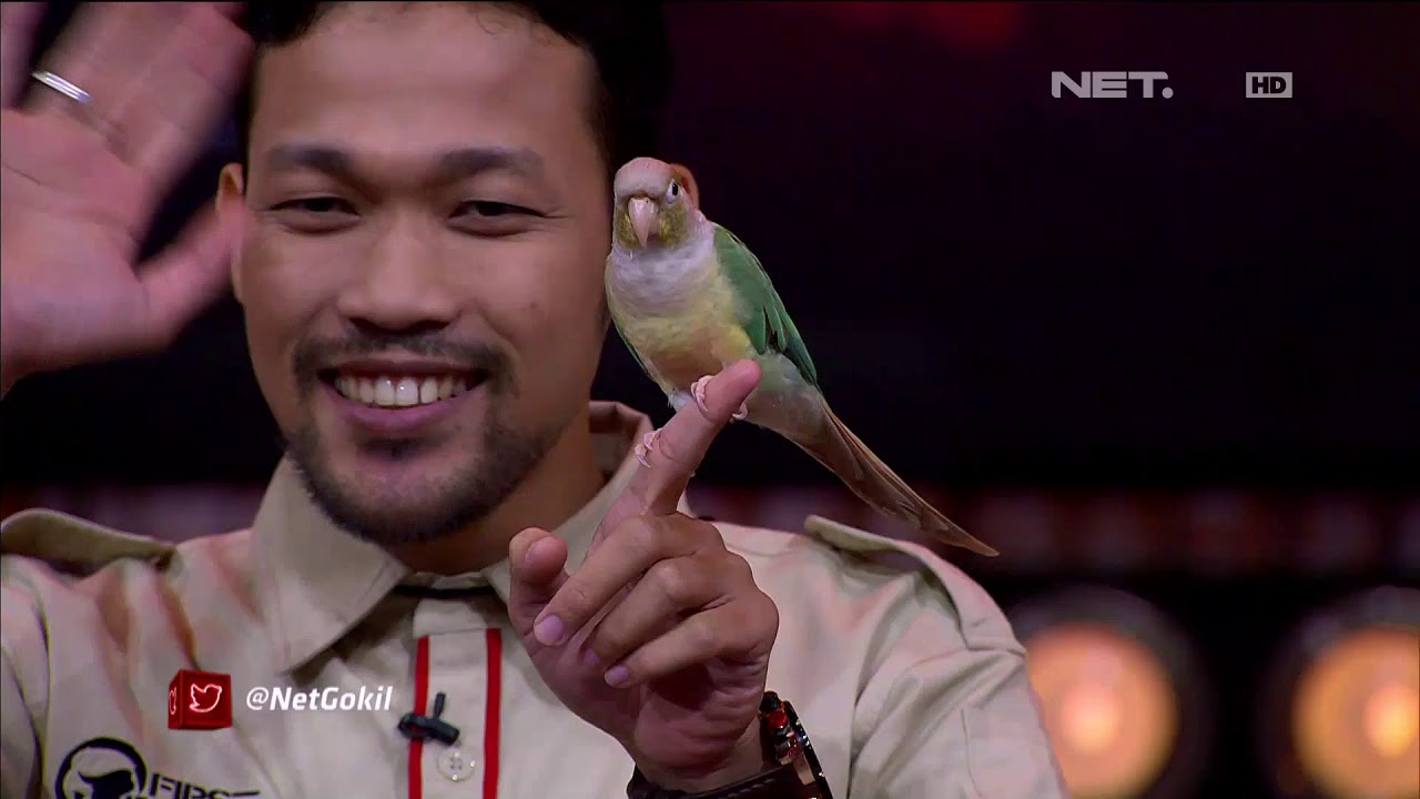Peserta Ini Menunjukkan Kebolehannya Melatih Burung Beratraksi, Bikin Juri Terpukau - GOKIL (1/4)