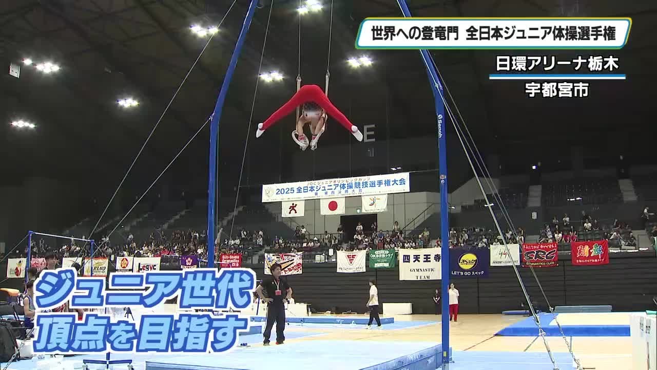 全国の精鋭が一堂に！全日本ジュニア体操選手権 栃木で初開催 実行委員長・池谷さんら来県 17日まで