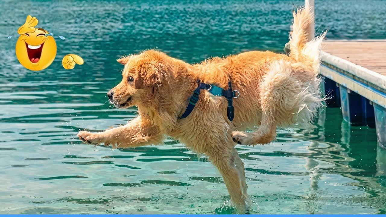 Best Funniest Animal Videos 🐾🎅 Funny Animals Compilation with Christmas Trees 2025 🎄✨