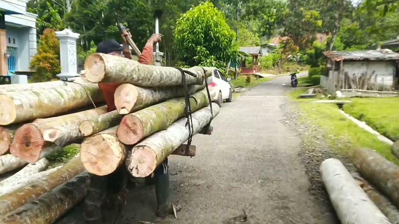 suasana pedesaan,desa jambu, kecamatan Wangon, kabupaten Banyumas Jawa tengah