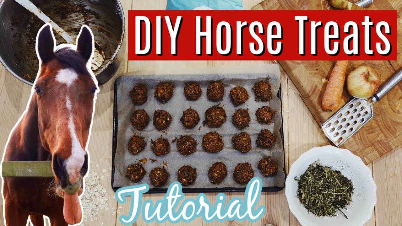 DIY Horse Treats | Super Easy & Quick | Tutorial | Lock Down Day 24