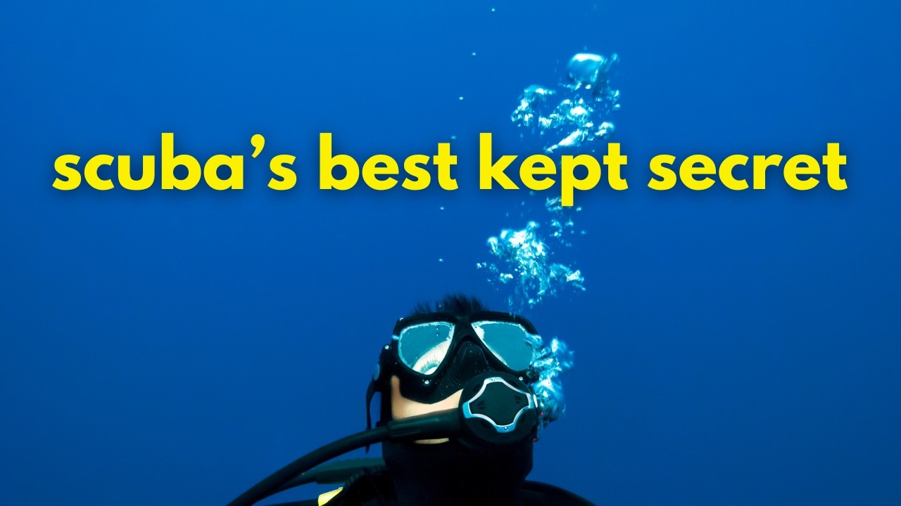 The BEST Scuba Diving in the Philippines | Cheapest Place for PADI Certification