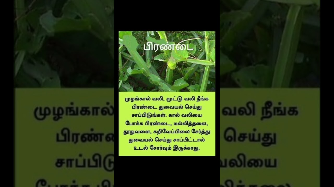 # yt short # trending # viral # tamil video # tamil song# health tips #trending#