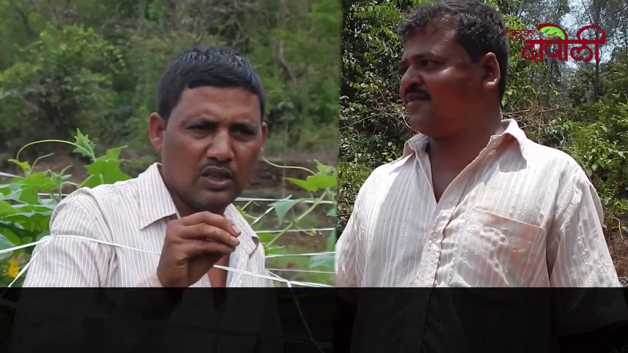Farmers in Dapoli | Eknath More | Ganesh Jagdale | Taluka Dapoli