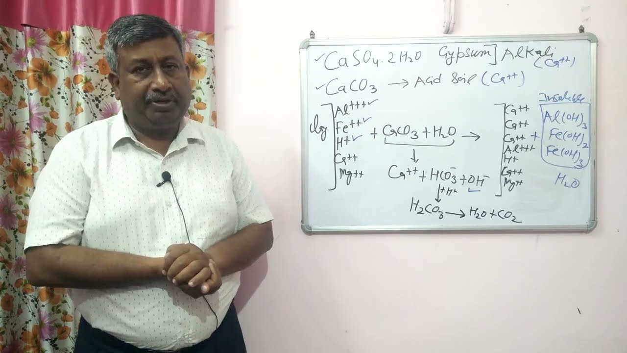 Why are acidic soils reclamed by calcium carbonate but not by gypsum?
