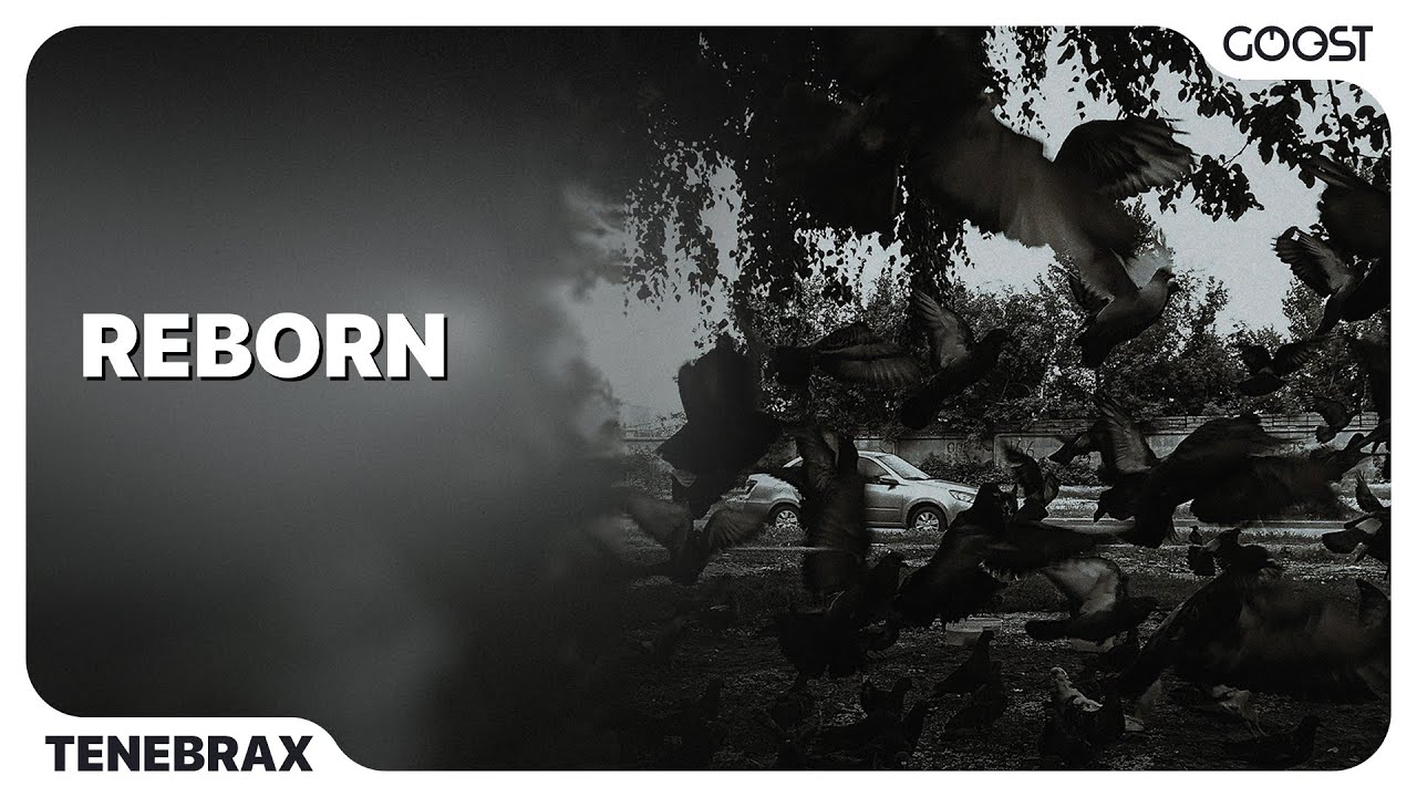 Tenebrax - Reborn