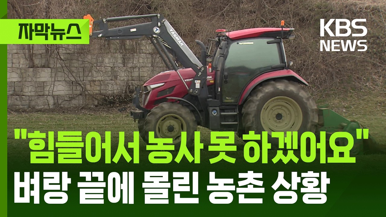 [자막뉴스] 