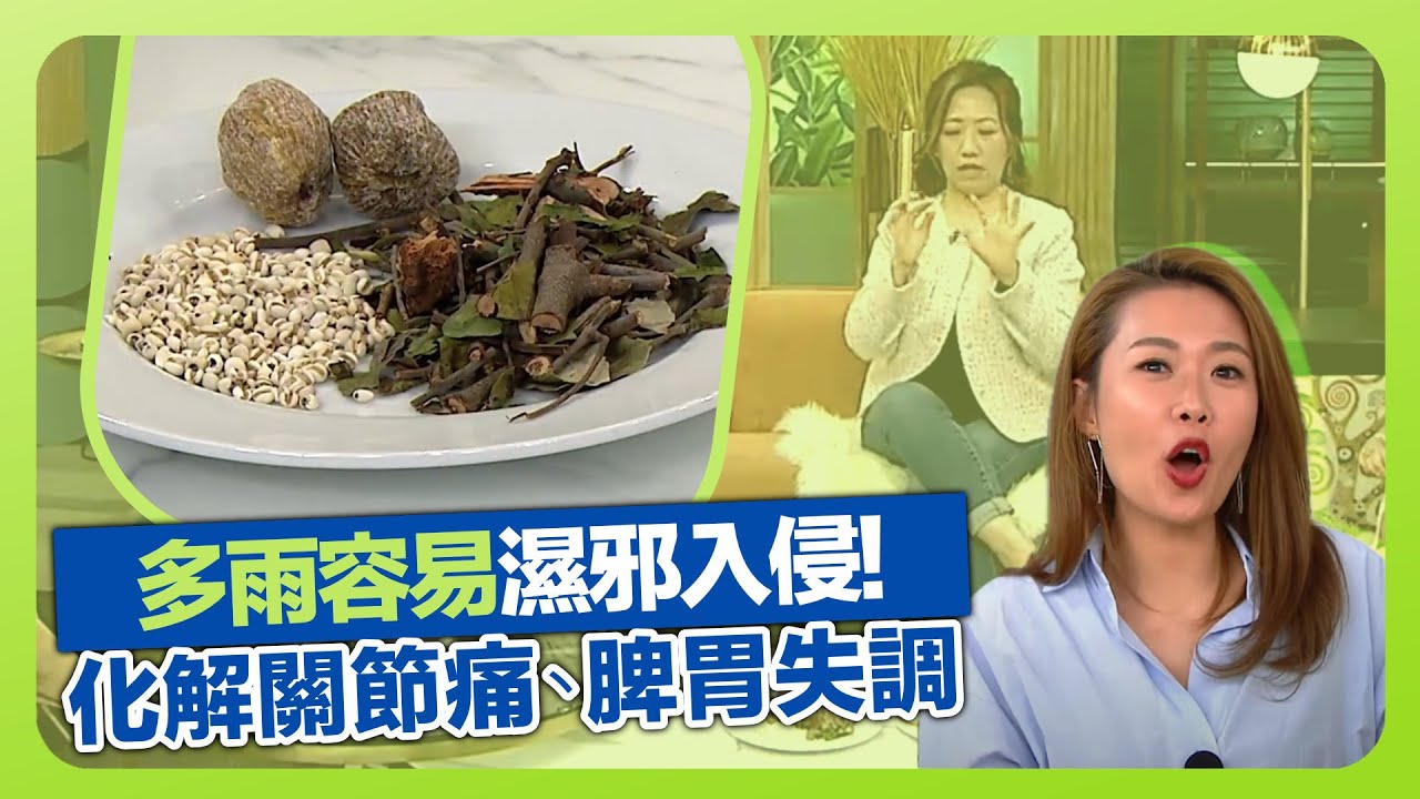 健康360 TVB｜夏季多雨容易濕邪入侵! 陳翠萍中醫談穀雨養生｜化解關節痛、易倦、脾胃失調｜食療湯水與穴位按摩｜流行都市 宋芝齡 彭慧中 胡諾言